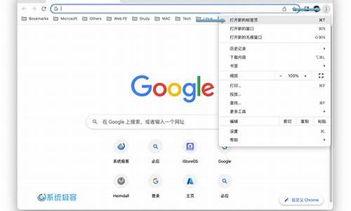 chrome新标签页打开特定网页(chrome新标签页打开特定网页不显示)