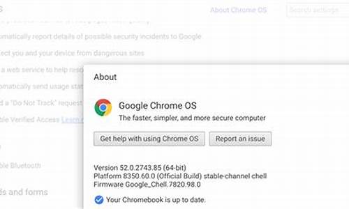 chrome无法从该网站添加脚本(谷歌浏览器无法从该网站添加脚本) 