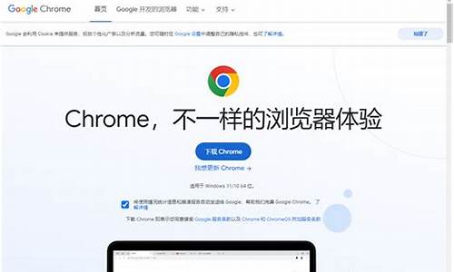 下载chrome浏览器crx文件(chrome 下载文件)