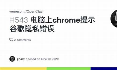 电脑上chrome无法启动不了网(电脑上chrome无法启动不了网页怎么办)